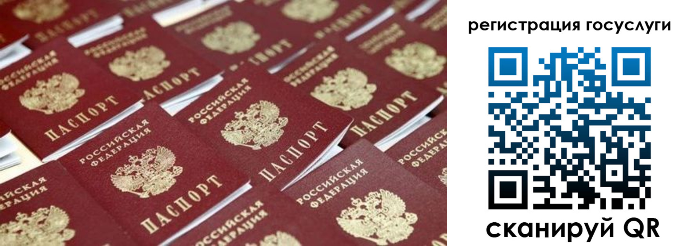 прописка ребенка в Камчатском крае